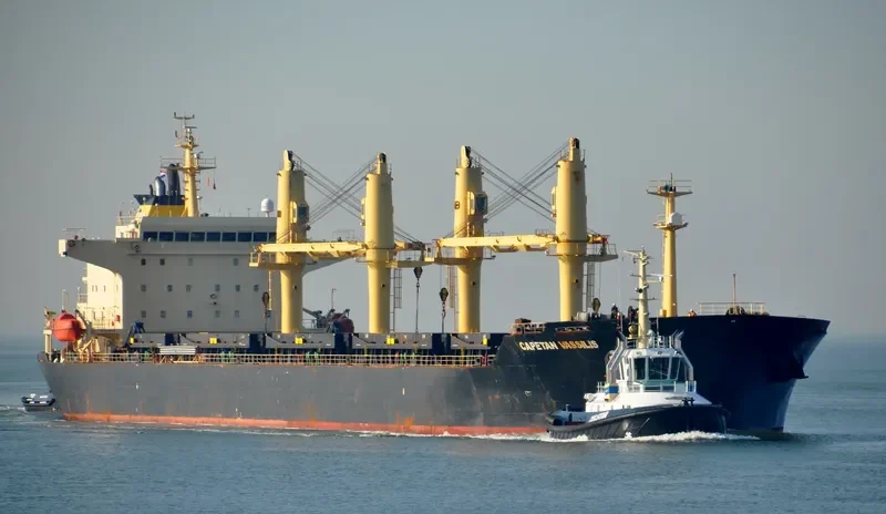 SHEN YU 69 Bulk Carrier IMO 9257096 photo 7