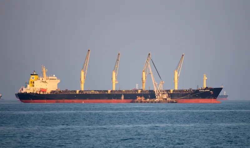 SHEN YU 69 Bulk Carrier IMO 9257096 photo 8