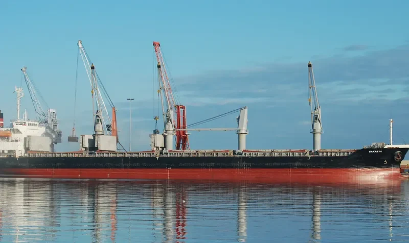 SAKARYA Bulk Carrier IMO 9257199 photo 7