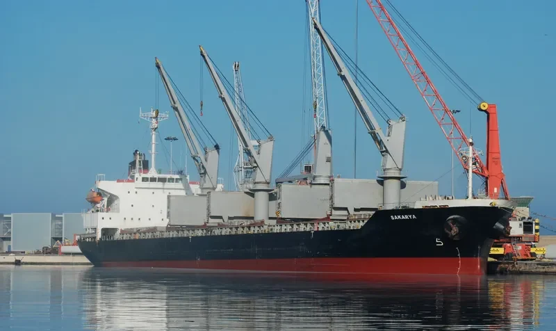 SAKARYA Bulk Carrier IMO 9257199 photo 8
