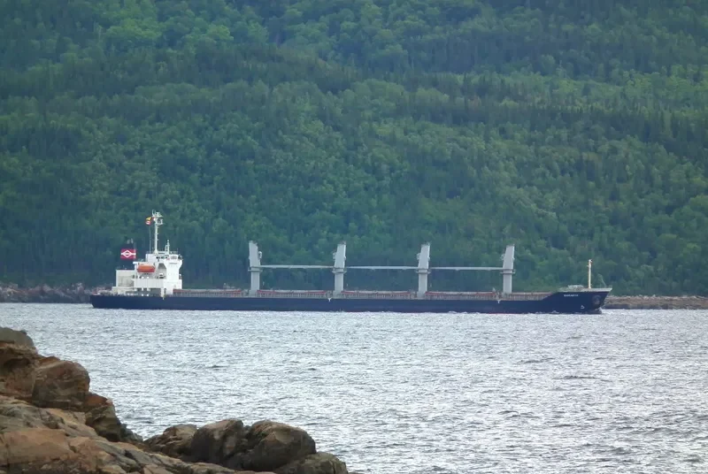 SAKARYA Bulk Carrier IMO 9257199 photo 10