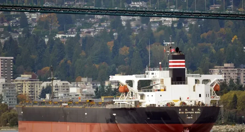XIN YUAN Bulk Carrier IMO 9257412 photo 5