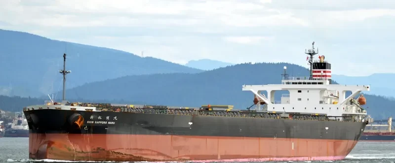 XIN YUAN Bulk Carrier IMO 9257412 photo 6