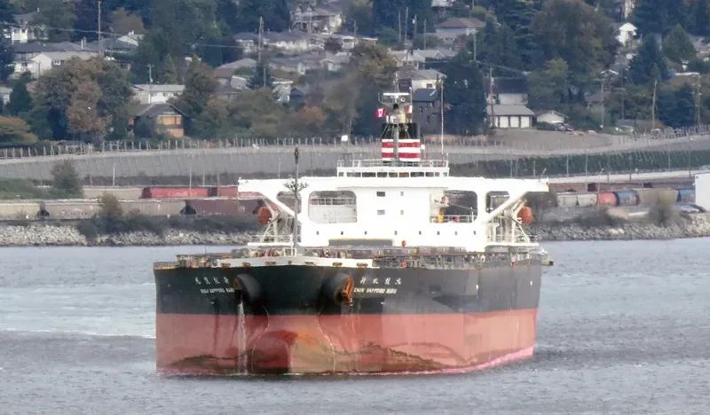 XIN YUAN Bulk Carrier IMO 9257412 photo 10