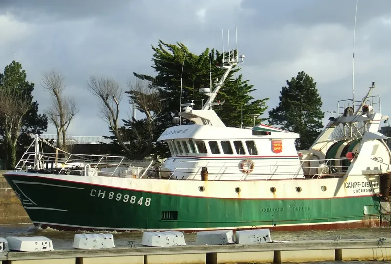 CARPE DIEM III General Cargo IMO 9257761 photo 4