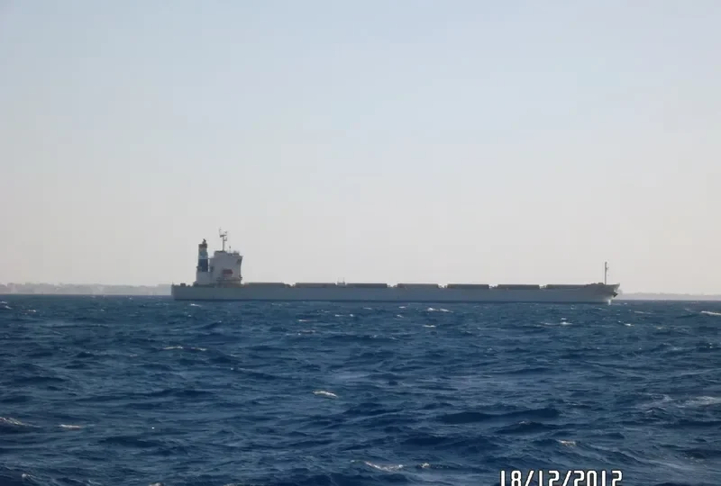 DOOYANG JEJU Bulk Carrier IMO 9257797 photo 5