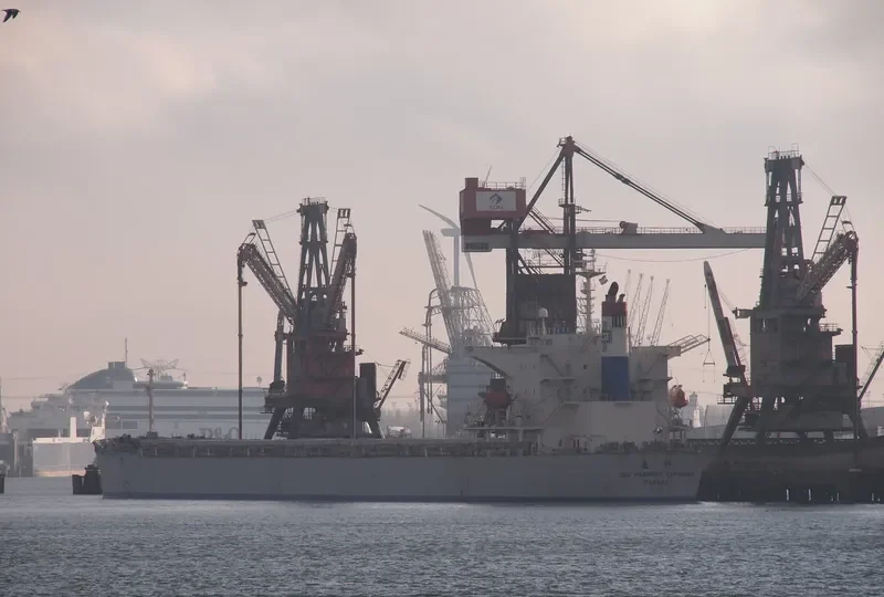 DOOYANG JEJU Bulk Carrier IMO 9257797 photo 6