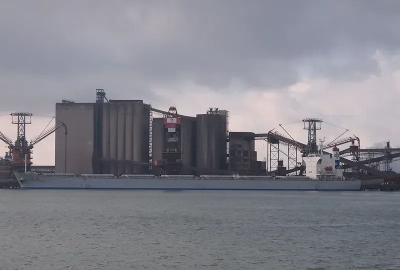 DOOYANG JEJU Bulk Carrier IMO 9257797 photo 7