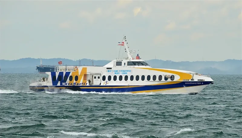 WAVEMASTER 5 Passenger Ship IMO 9257888 photo 4