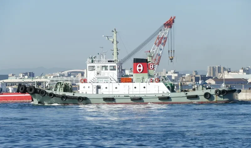 SENHO MARU General Cargo IMO 9257890 photo 3