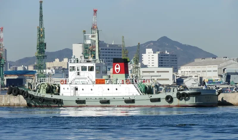 SENHO MARU General Cargo IMO 9257890 photo 4