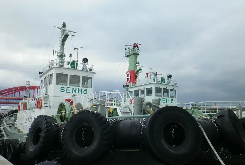 SENHO MARU General Cargo IMO 9257890 photo 5
