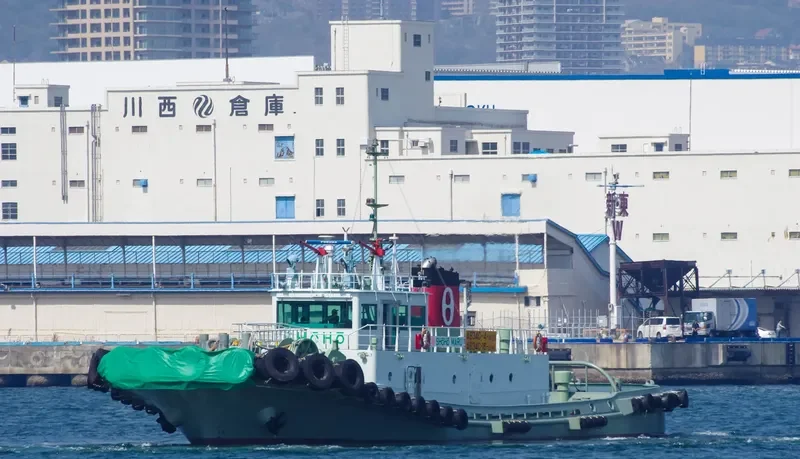 SENHO MARU General Cargo IMO 9257890 photo 6