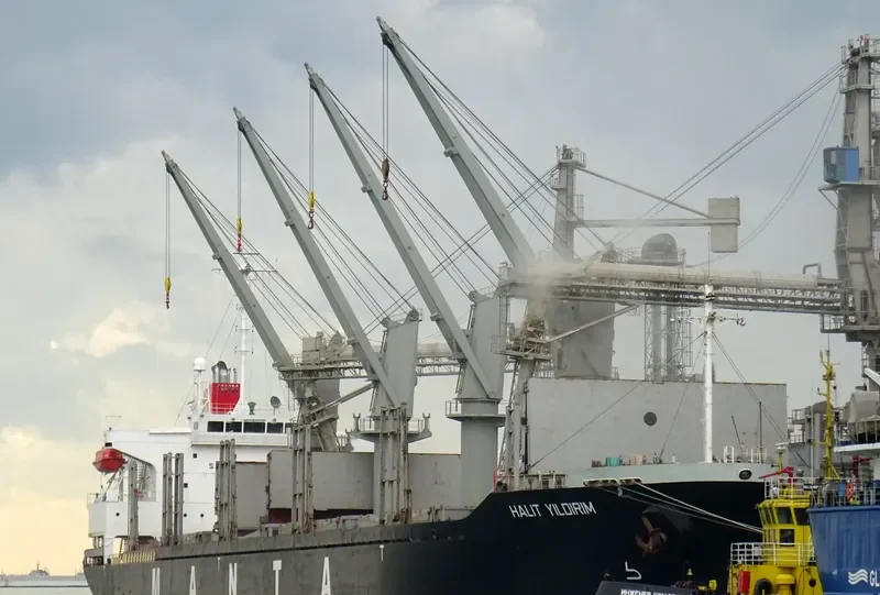 HALIT YILDIRIM Bulk Carrier IMO 9257981 photo 2