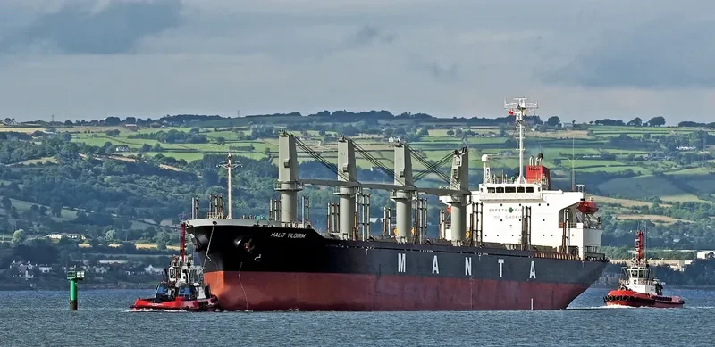 HALIT YILDIRIM Bulk Carrier IMO 9257981 photo 6