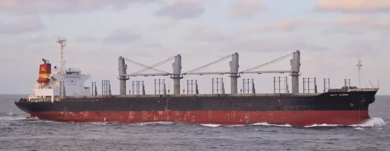 HALIT YILDIRIM Bulk Carrier IMO 9257981 photo 7