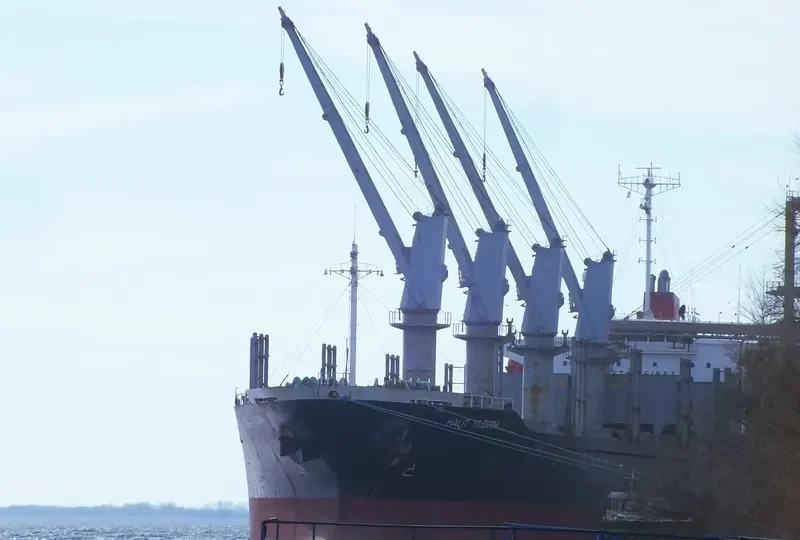 HALIT YILDIRIM Bulk Carrier IMO 9257981 photo 8