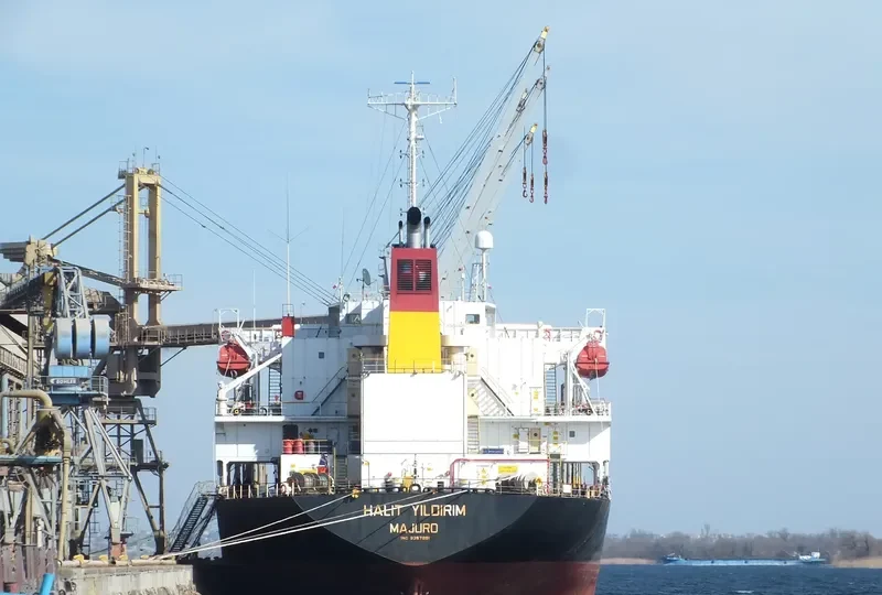 HALIT YILDIRIM Bulk Carrier IMO 9257981 photo 9