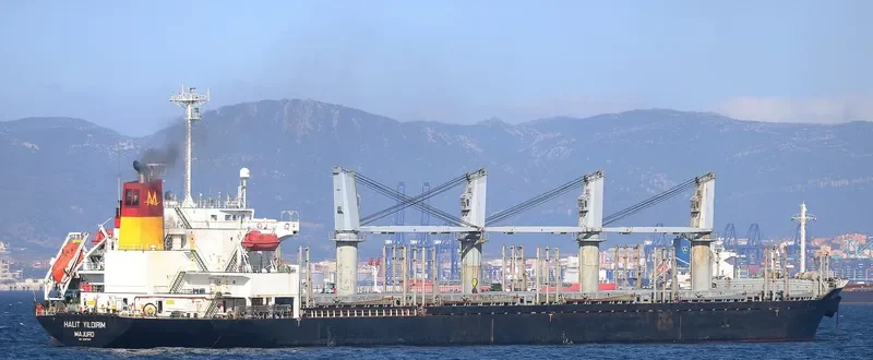 HALIT YILDIRIM Bulk Carrier IMO 9257981 photo 10