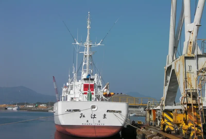 MIHAMA General Cargo IMO 9258052 photo 3