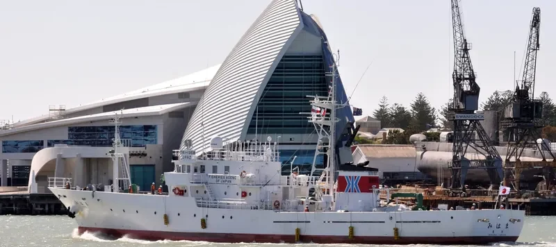 MIHAMA General Cargo IMO 9258052 photo 4