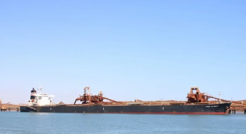 OCEAN LEO Bulk Carrier IMO 9258117