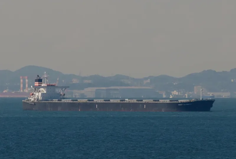 OCEAN LEO Bulk Carrier IMO 9258117 photo 5