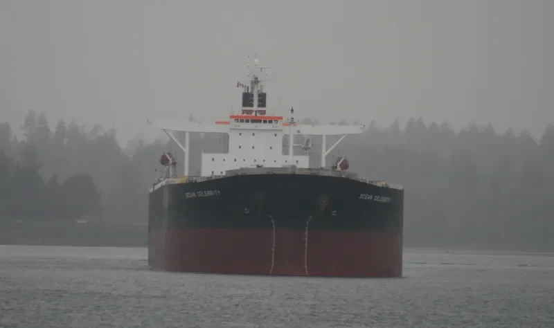 OCEAN LEO Bulk Carrier IMO 9258117 photo 7