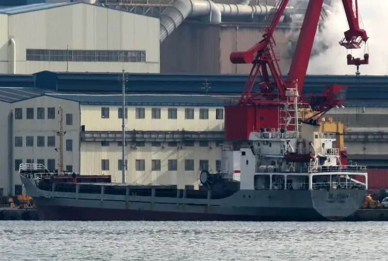 DONG YONG Container Ship IMO 9258210