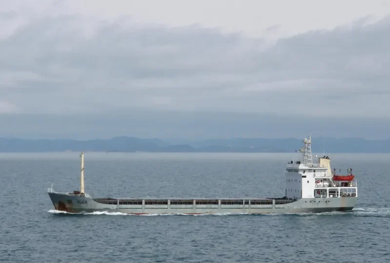 DONG YONG Container Ship IMO 9258210 photo 2