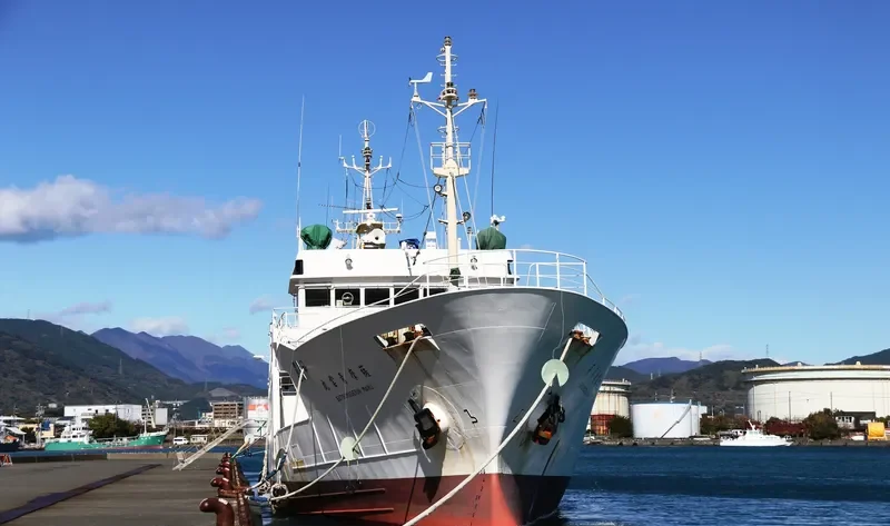 SATSUMASEIUN MARU General Cargo IMO 9258258 photo 8