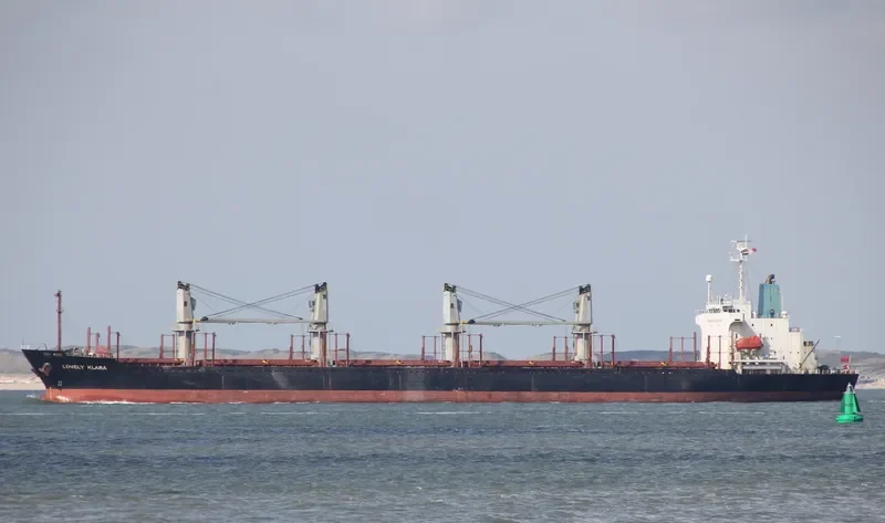 GOLDEN LEAF Bulk Carrier IMO 9258325 photo 2