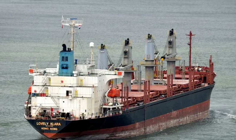 GOLDEN LEAF Bulk Carrier IMO 9258325 photo 3