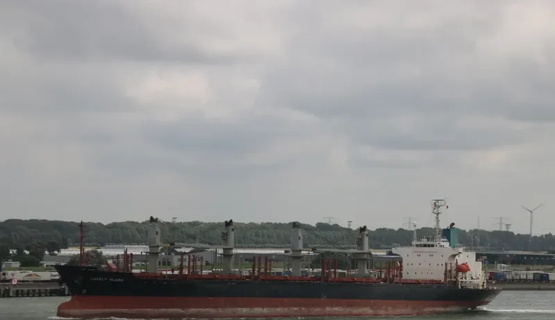 GOLDEN LEAF Bulk Carrier IMO 9258325 photo 4