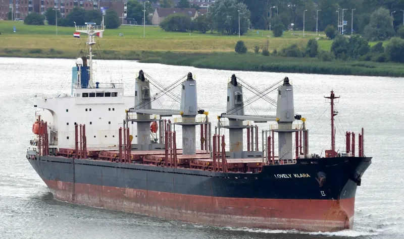 GOLDEN LEAF Bulk Carrier IMO 9258325 photo 5