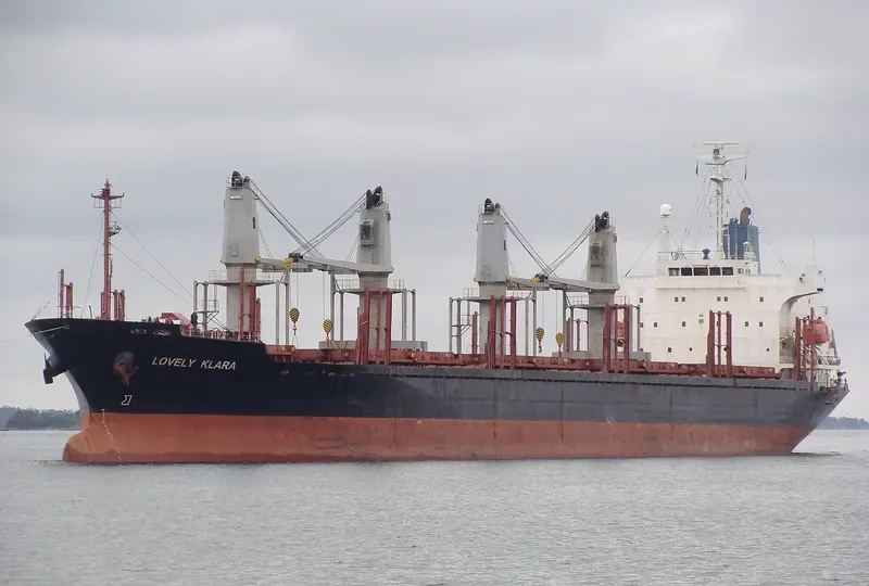 GOLDEN LEAF Bulk Carrier IMO 9258325 photo 6