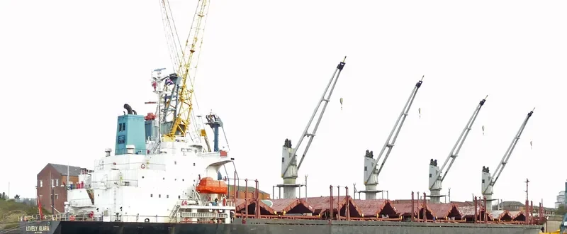 GOLDEN LEAF Bulk Carrier IMO 9258325 photo 8
