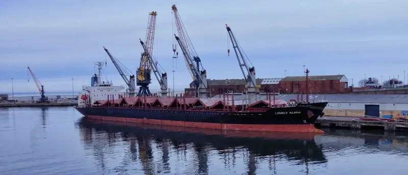 GOLDEN LEAF Bulk Carrier IMO 9258325 photo 9
