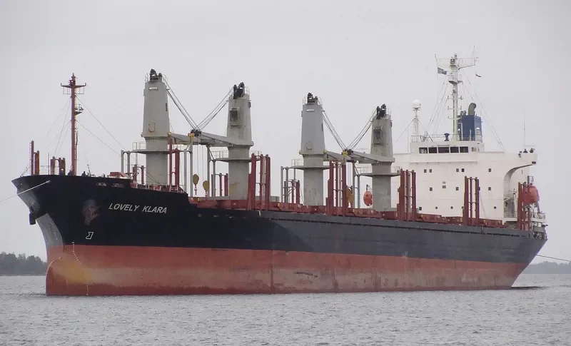 GOLDEN LEAF Bulk Carrier IMO 9258325 photo 10