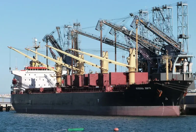 ANTA Bulk Carrier IMO 9258337 photo 7