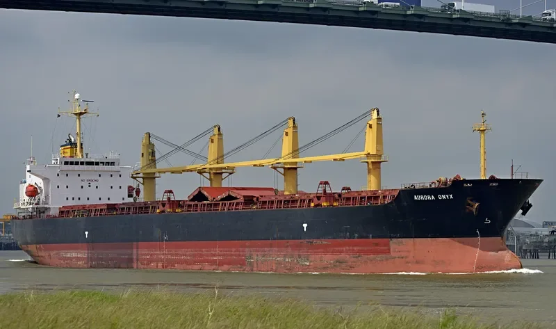 ANTA Bulk Carrier IMO 9258337 photo 10