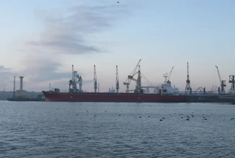 NEW ISLAND Bulk Carrier IMO 9258349