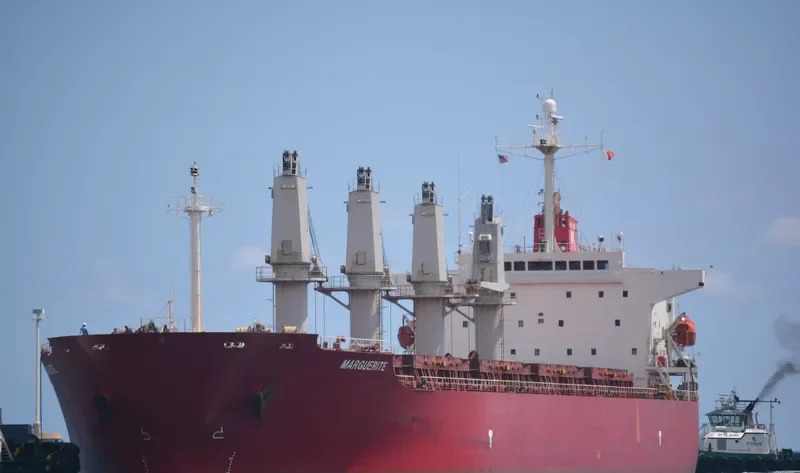 NEW ISLAND Bulk Carrier IMO 9258349 photo 2