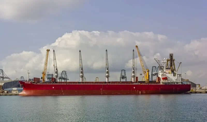 NEW ISLAND Bulk Carrier IMO 9258349 photo 3