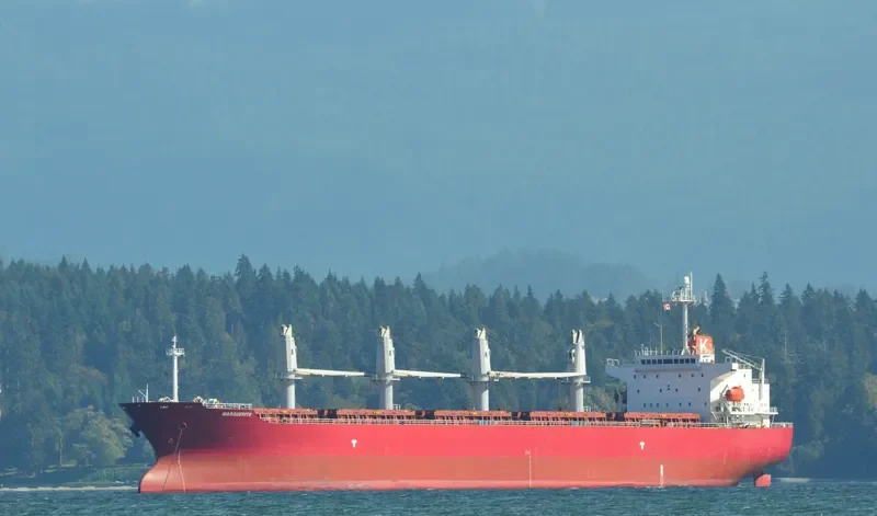 NEW ISLAND Bulk Carrier IMO 9258349 photo 6