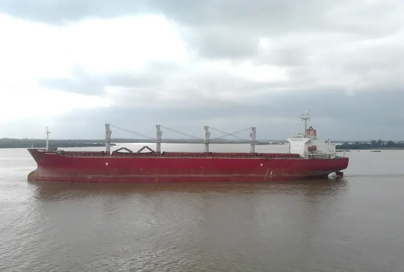 NEW ISLAND Bulk Carrier IMO 9258349 photo 7