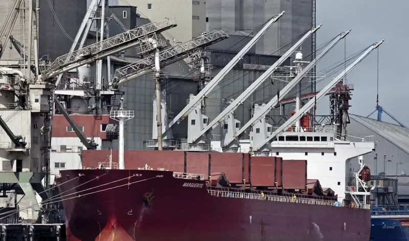NEW ISLAND Bulk Carrier IMO 9258349 photo 9
