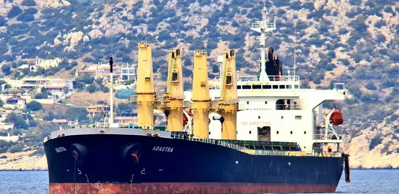 ADASTRA Bulk Carrier IMO 9258557 photo 2