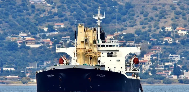 ADASTRA Bulk Carrier IMO 9258557 photo 3
