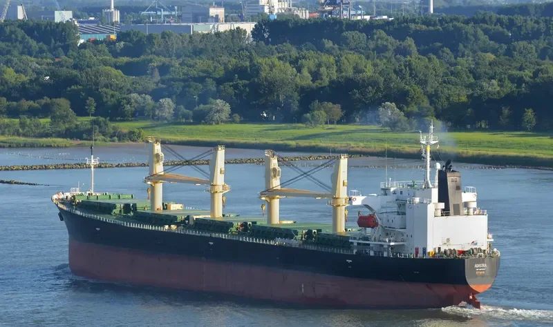 ADASTRA Bulk Carrier IMO 9258557 photo 4